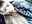 trim,08E8843D-AE9F-4C81-BAD1-5479971AF18E - video by GanseloMix cam model