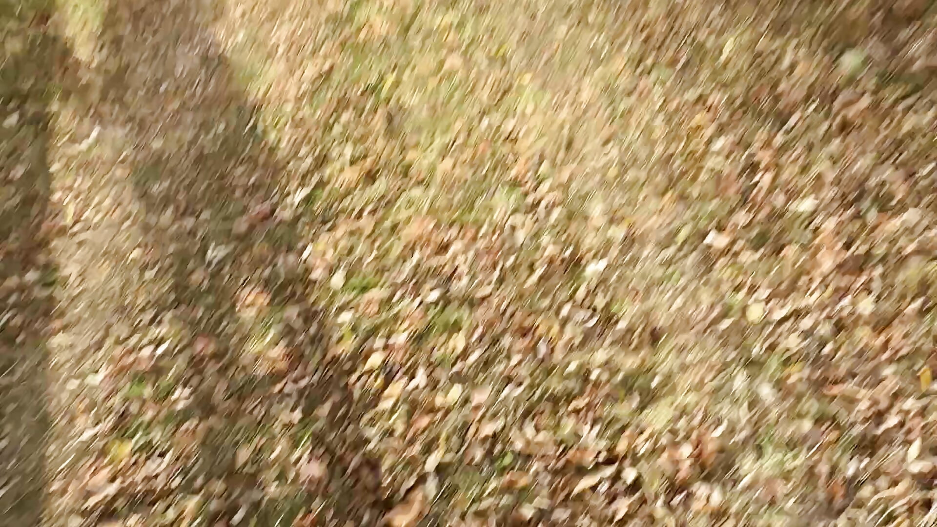 Anna+sandra =💞follow my fun club - video and foto lots 🤣 - video by GanseloMix cam model