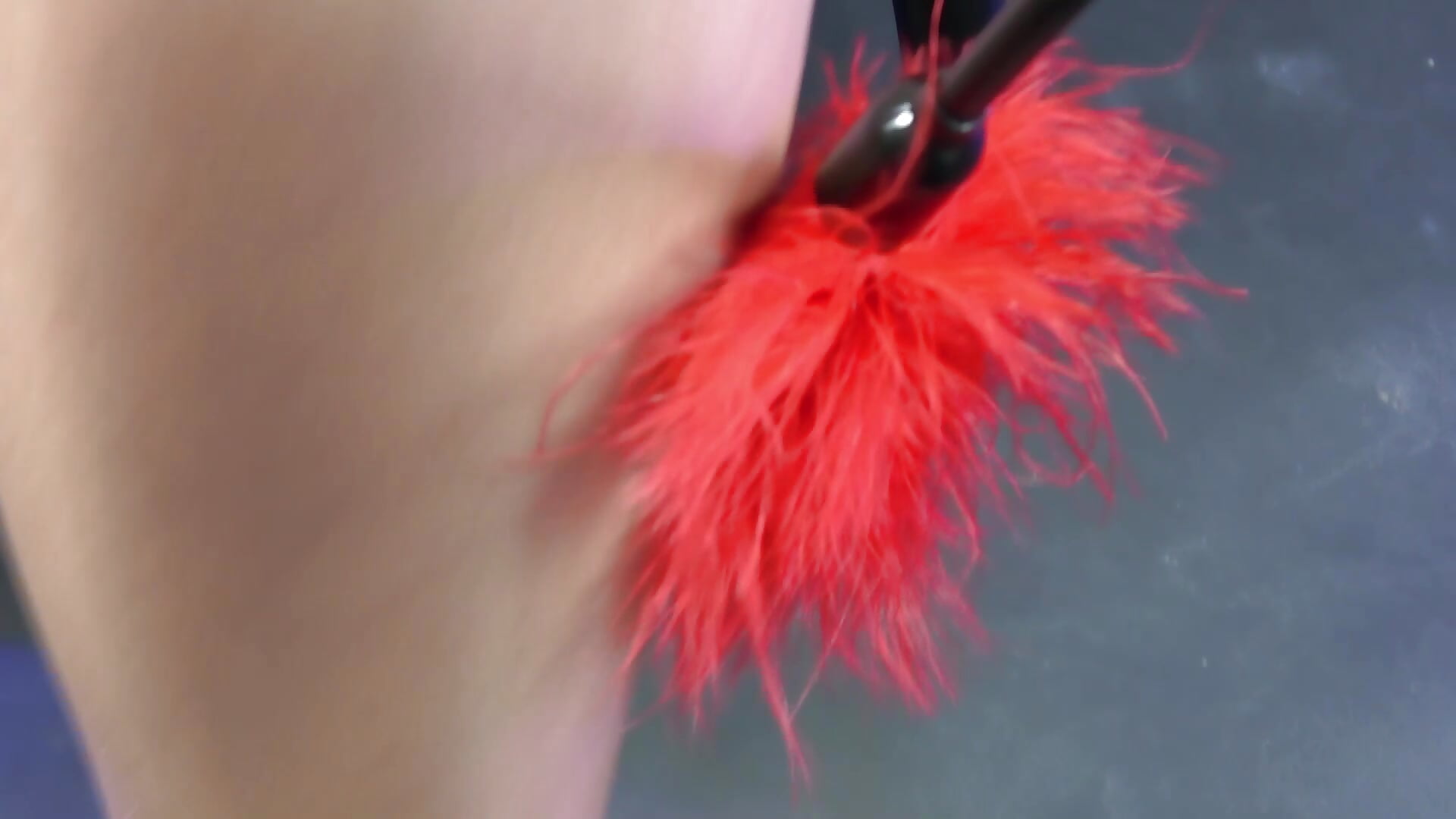 feather on my legs – видео вебкам-модели carieBelle1