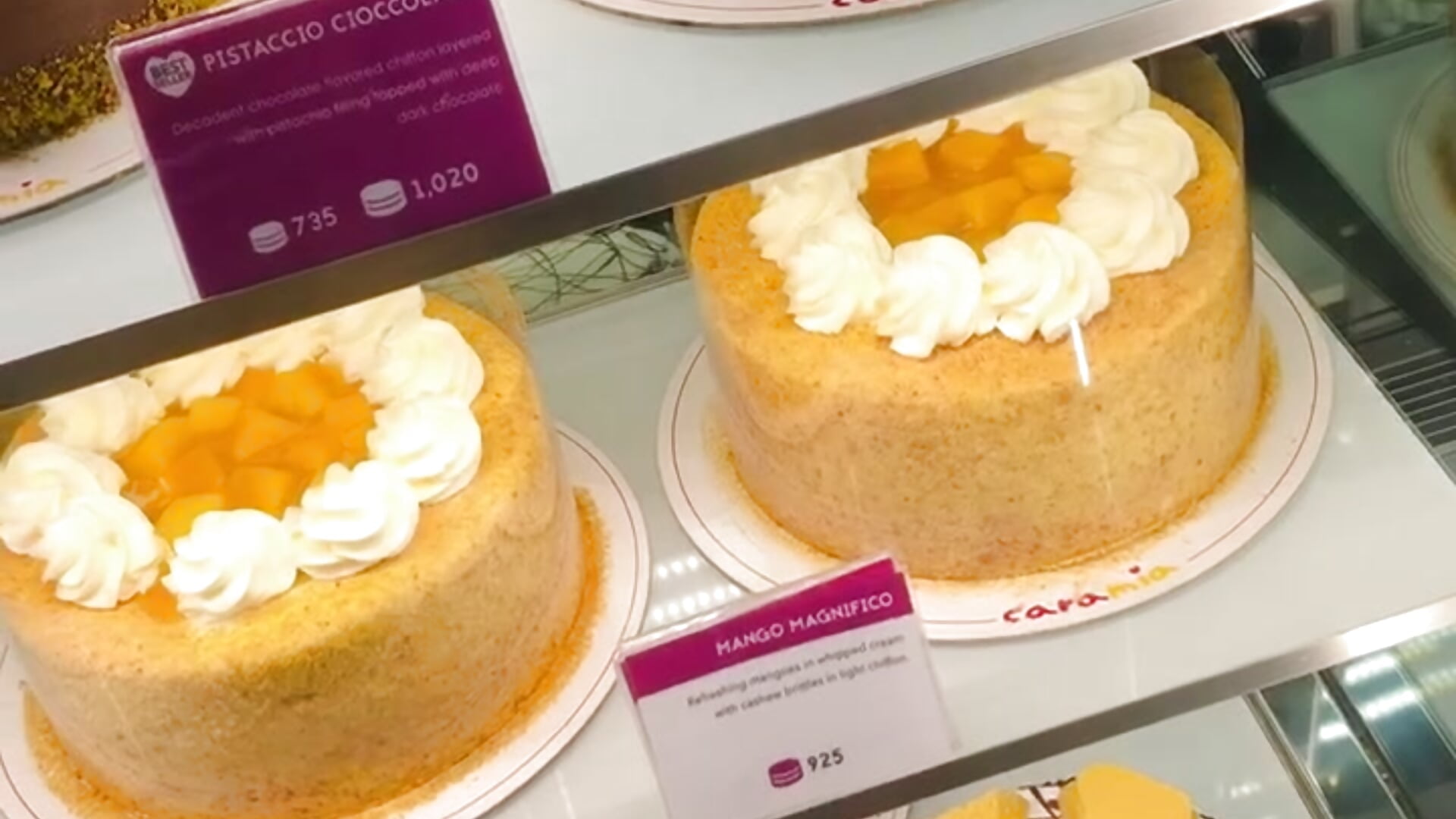 Happy Birthday Kimmy! - video di Jakolera2026 modella di cam