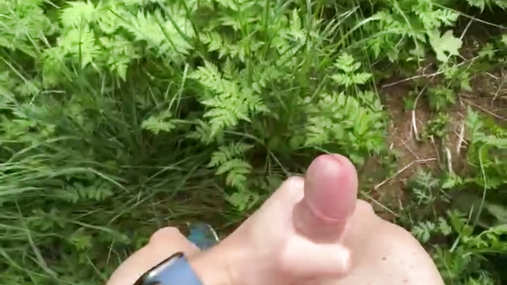 Öffentlich im Wald wixen – video od webkamerové modelky horneyboy98