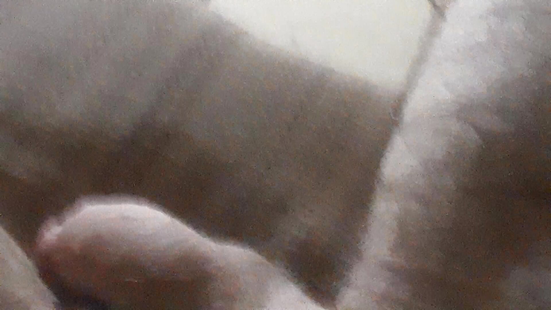 20200602_020123 - ROBERT0516 adlı kamera modelinin videosu