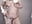 sexy shower - Video von yanza2002 Cam-Model