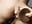 Browm dildo fuck ass - video by LINDA_PATTY94 cam model
