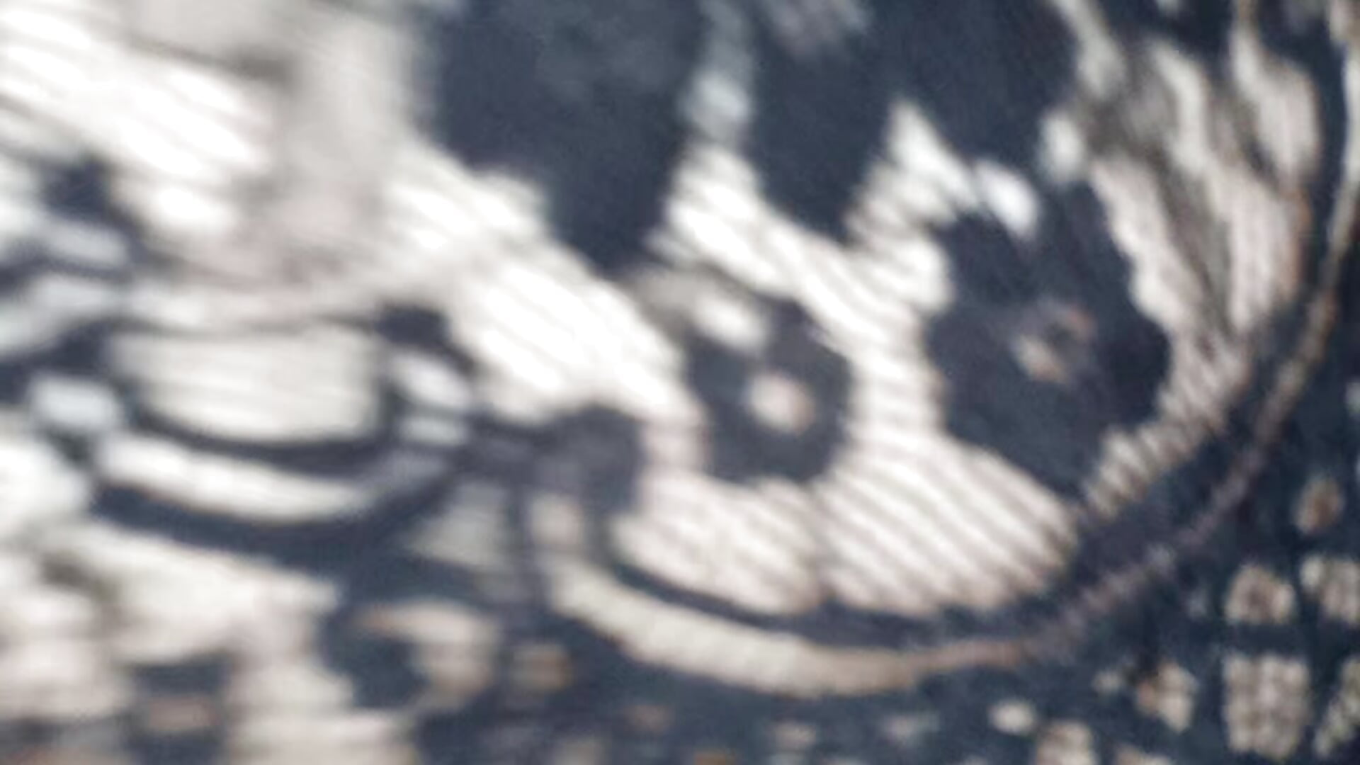 Huile boobs and ass - video by missdarling007 cam model