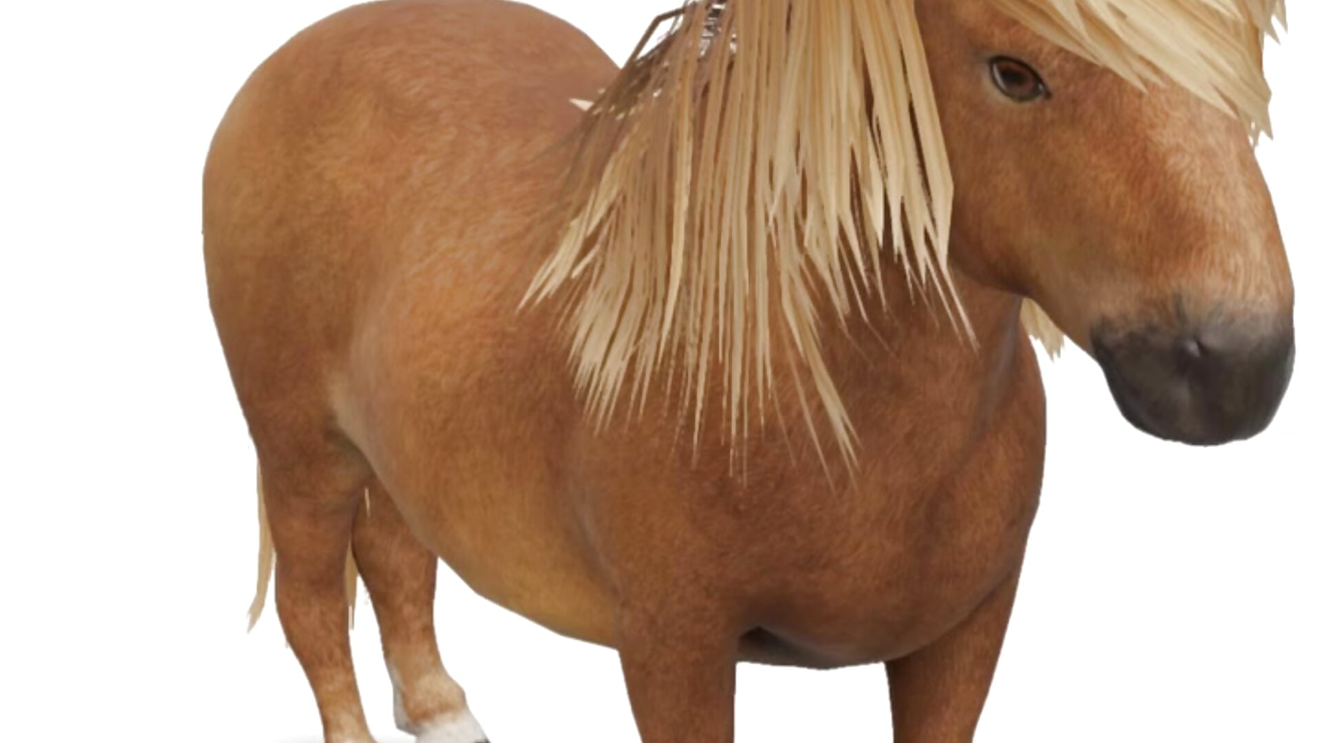 Dziękuję! - video by missjenn_x cam model