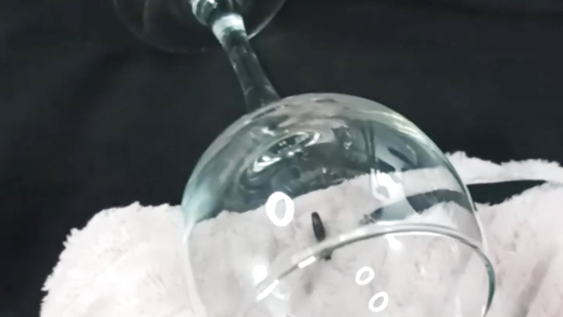 make cum and drink - video by TonyCollins_ cam model