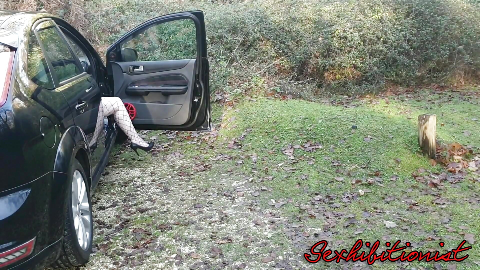 25th Nov 2024  Forest Flashing version 1 - video by Sexhibitionist@xh cam model