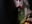 A magical woman - video di NataliMellow modella di cam