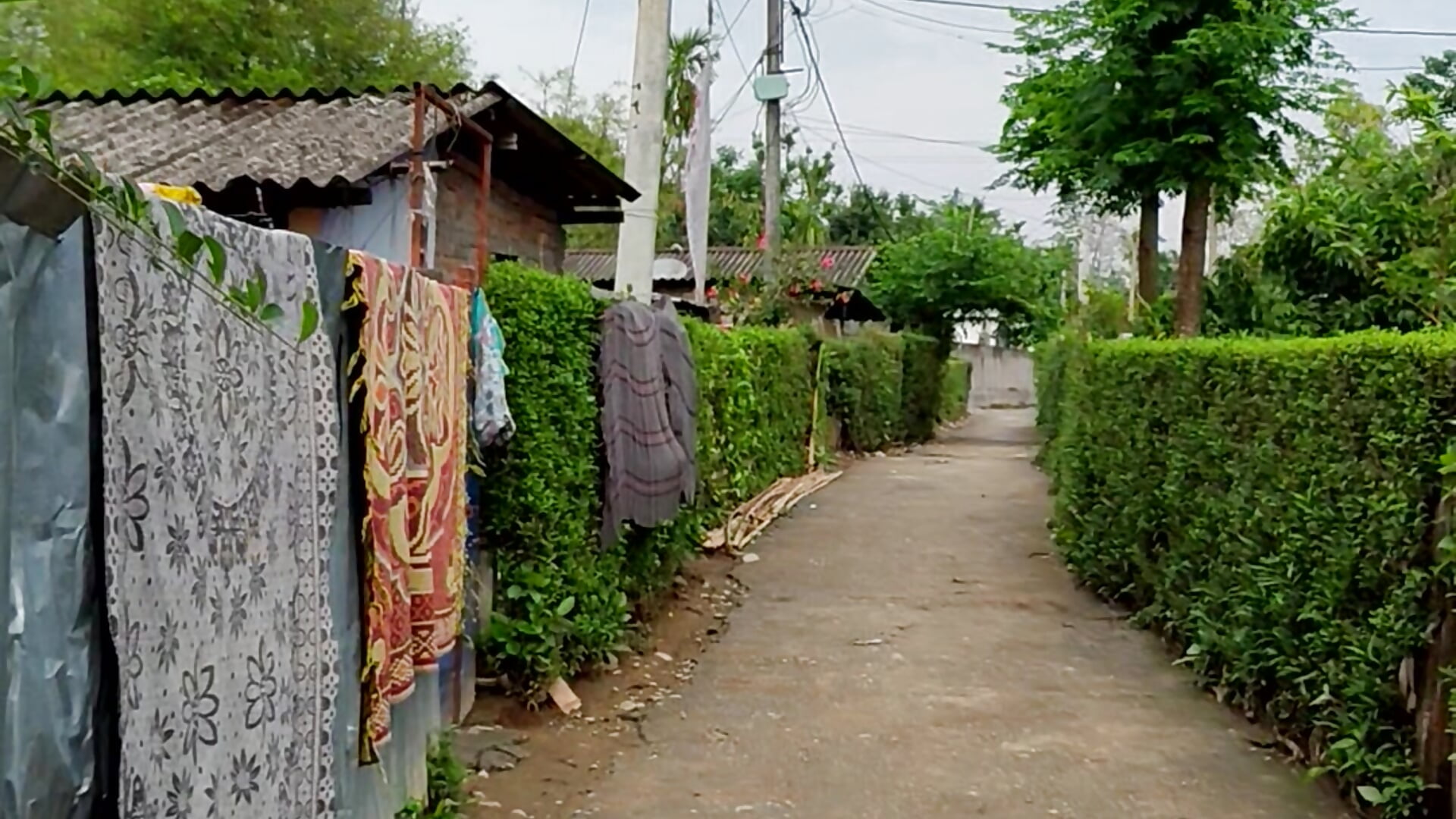 1000004902 - video by Yomo12345677 cam model