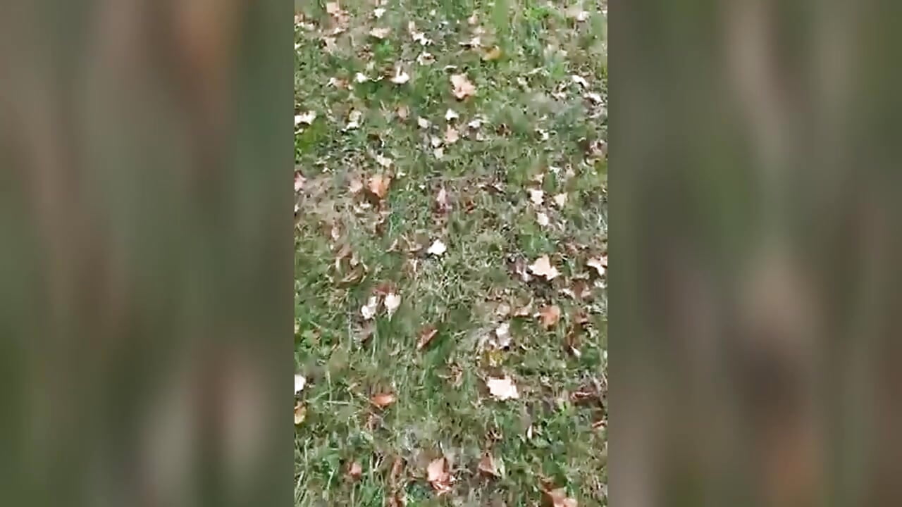 come on i m online - video by MarkReeds cam model