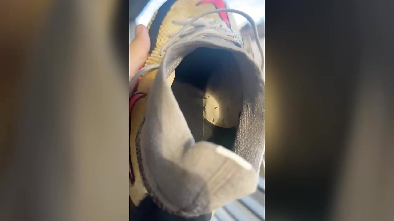 i m online - video by MarkReeds cam model