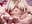 Foot job on dildo full naked! - video by _Rapunzel_ cam model