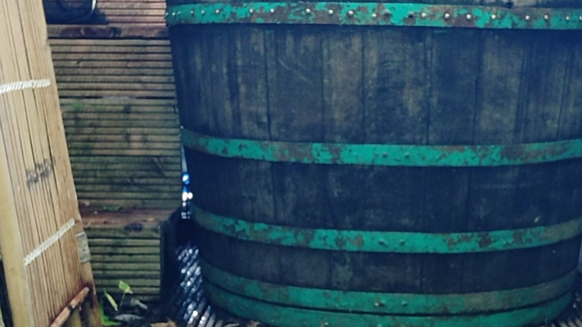 Outdoor shower with blue dildo - video của người mẫu cam kazantip41