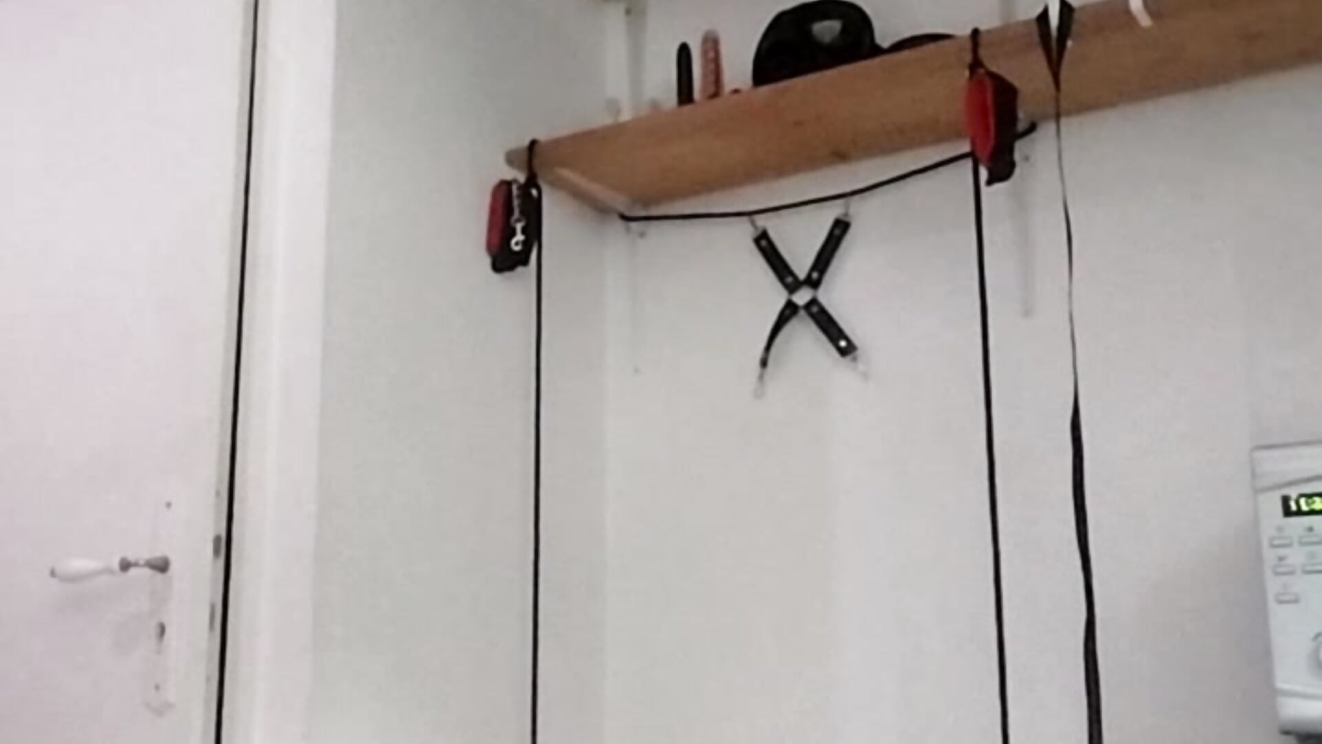 Record_2024-03-03-16-29-29 - video di Alan38XXX modella di cam