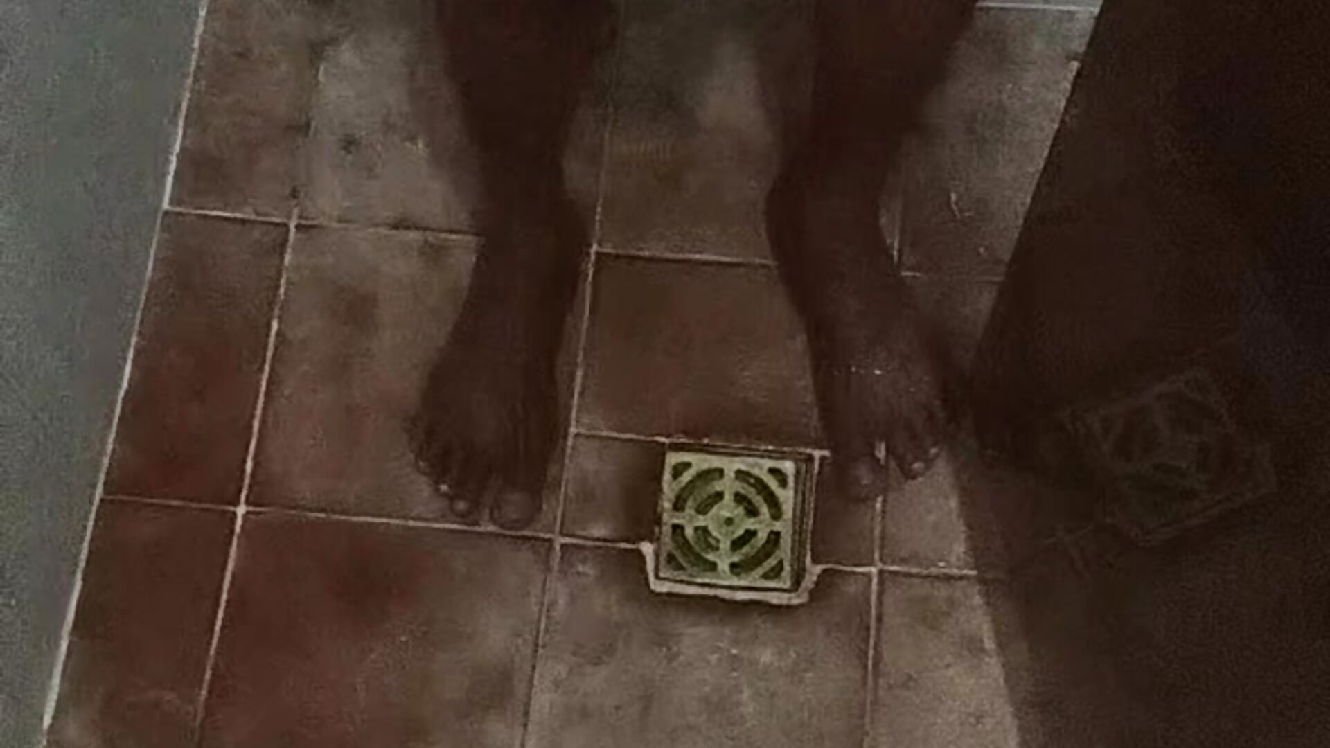 Two big, thick dicks, one 51 years old and the other 98 years old. - Duduarte2020@xh主播的视频