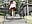 Upskirt Stairs - TorraeBlue 的视频