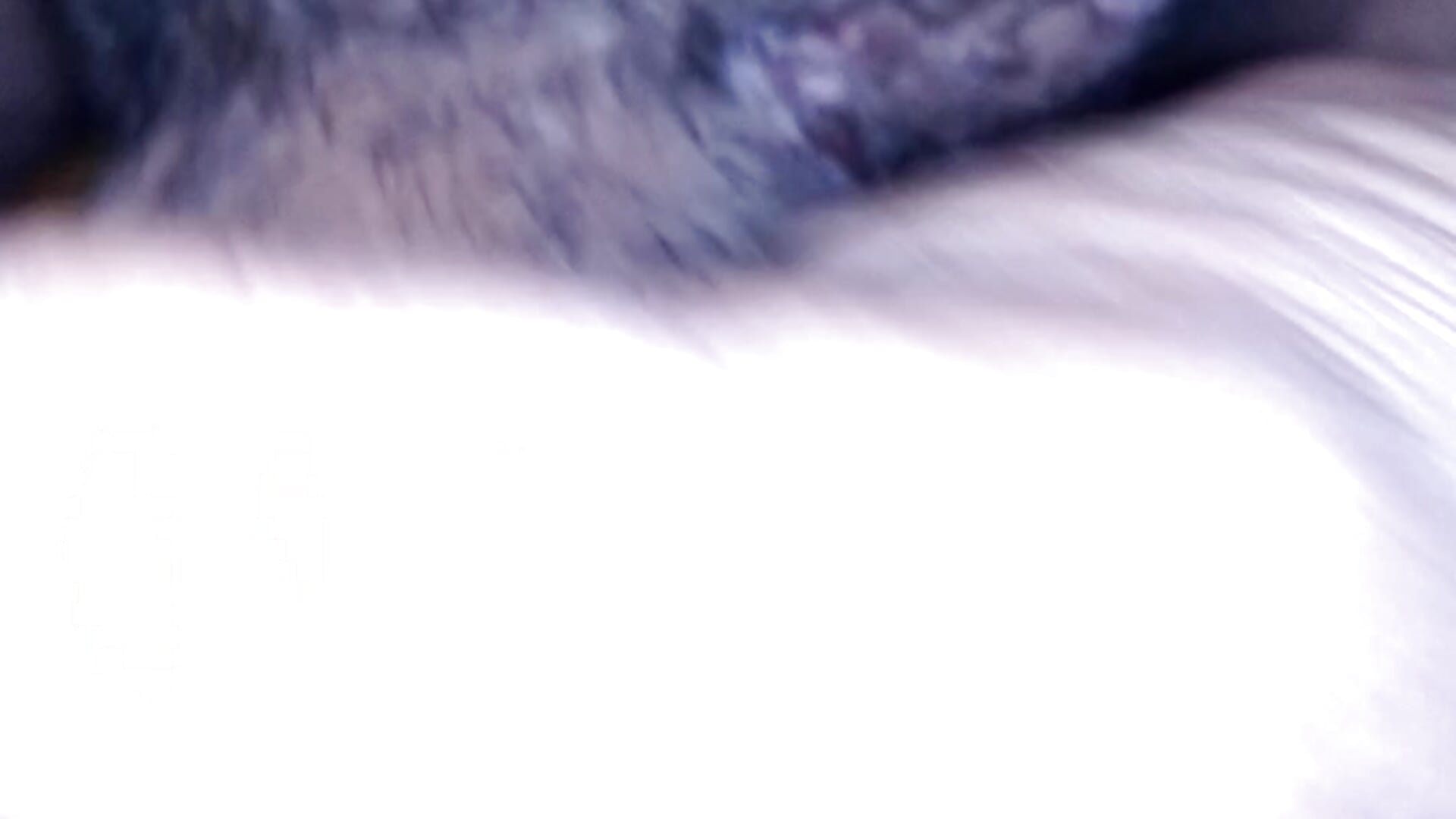 REGIO CALIENTE CON LUNAR EN LA PUNTA - video by robertocastillo-2017 cam model