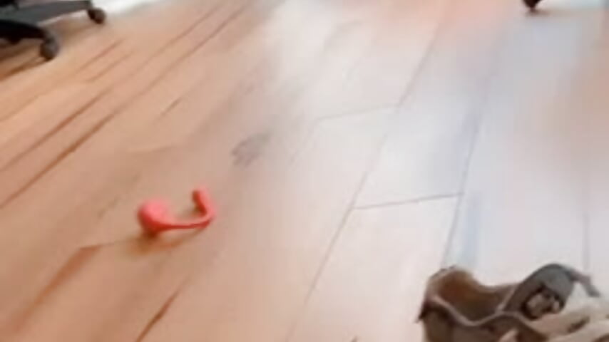 At the drop of a coin she comes alive - video by MaggyMayI cam model