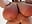 bouncing belly and boobs in bra and without - video by NinaDollBBW cam model