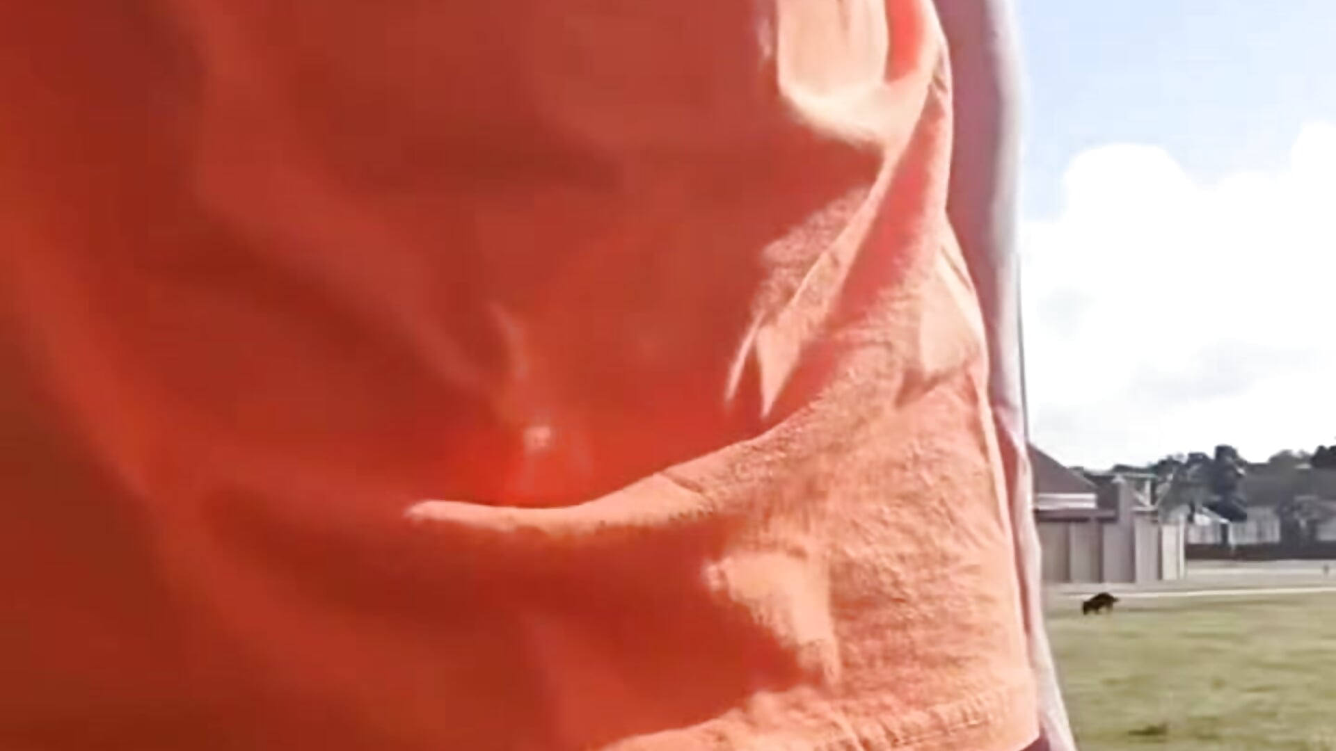 Day at the park GYM - video by Undieboy316 cam model