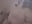 Morning after blowie perfect start to my day - video by PinkTheHawk cam model