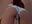 🍑🩵 - Sweett_Priya 님의 동영상