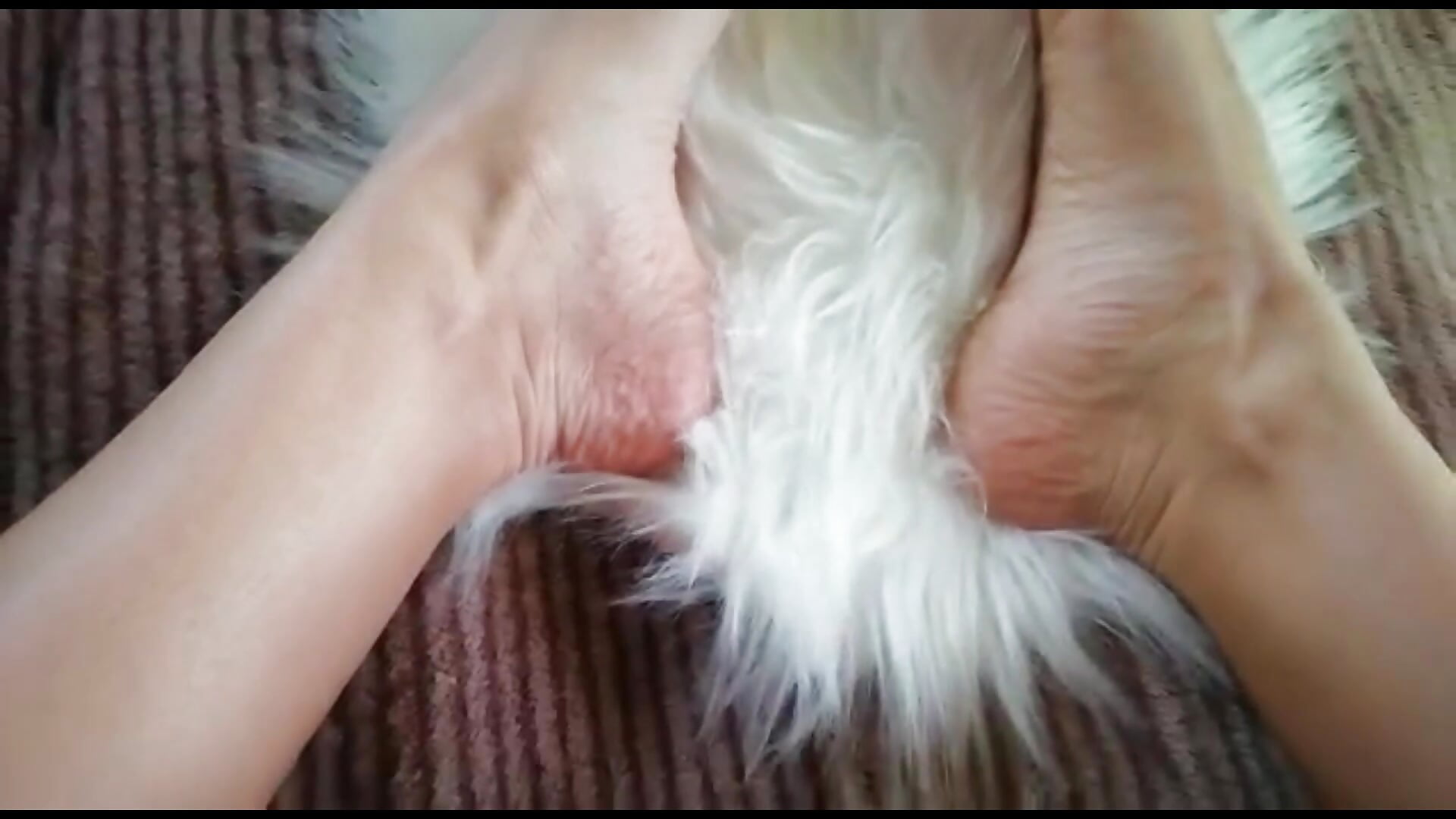 foot  pleasure for you – видео вебкам-модели RubiLakros