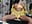 ) - video by xmayka cam model