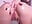 fuck my ass with dildo in a close view(oil) - video by xmayka cam model