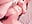Some hard vibing, domi inside, tons of juices, squirt! - video by JuliaBusty cam model