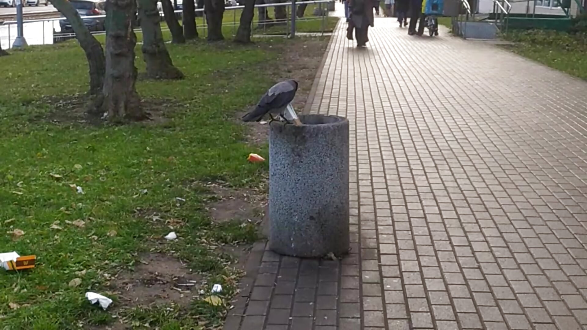 VID_20211028_145835 - video od modelky/modela RedGerda