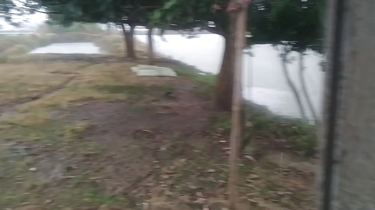 VID20250713160722 - video by Dogol1990 cam model