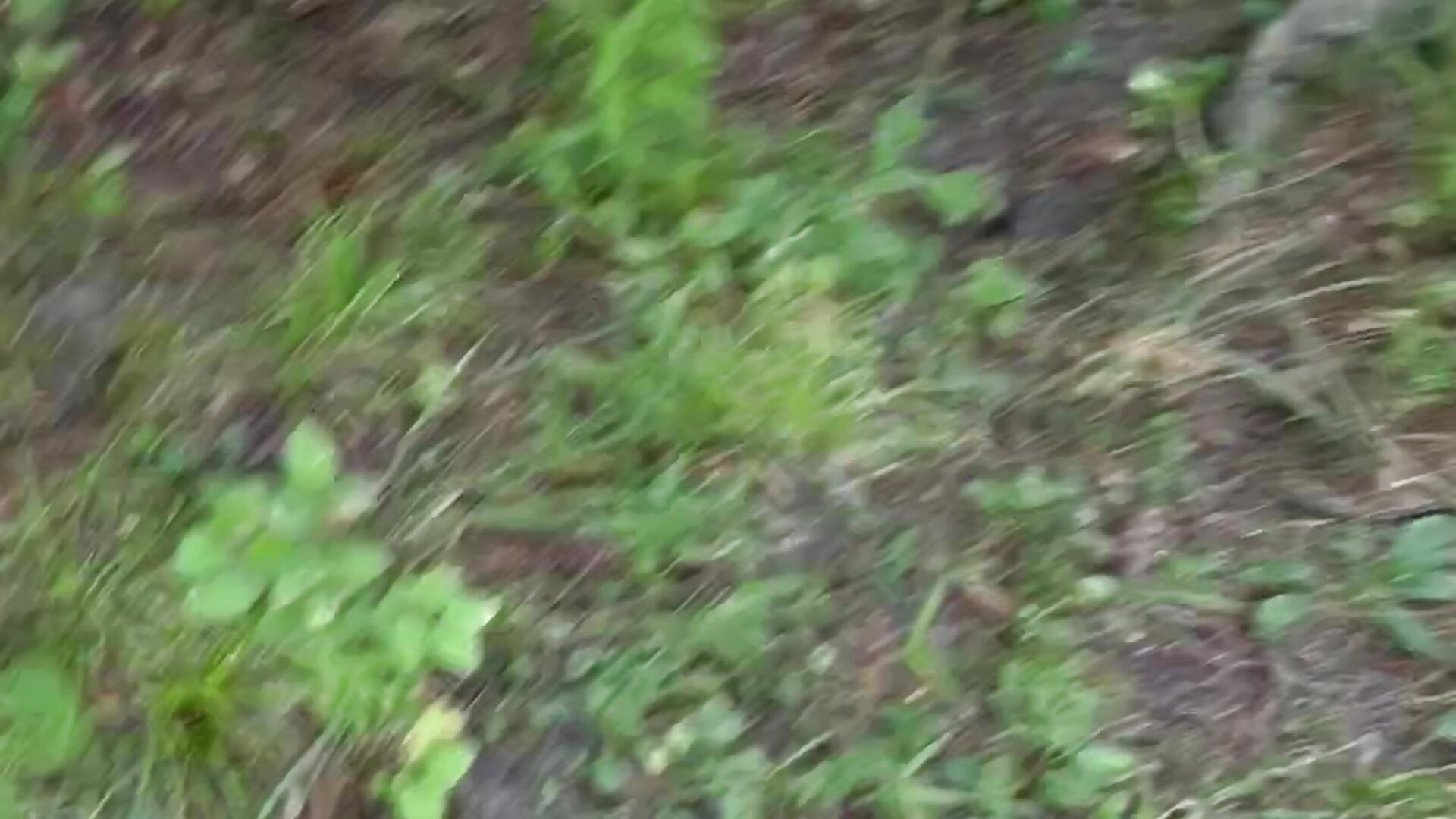 The walk down the steep hill to the beach - відео від вебкаммоделі lolabunny9