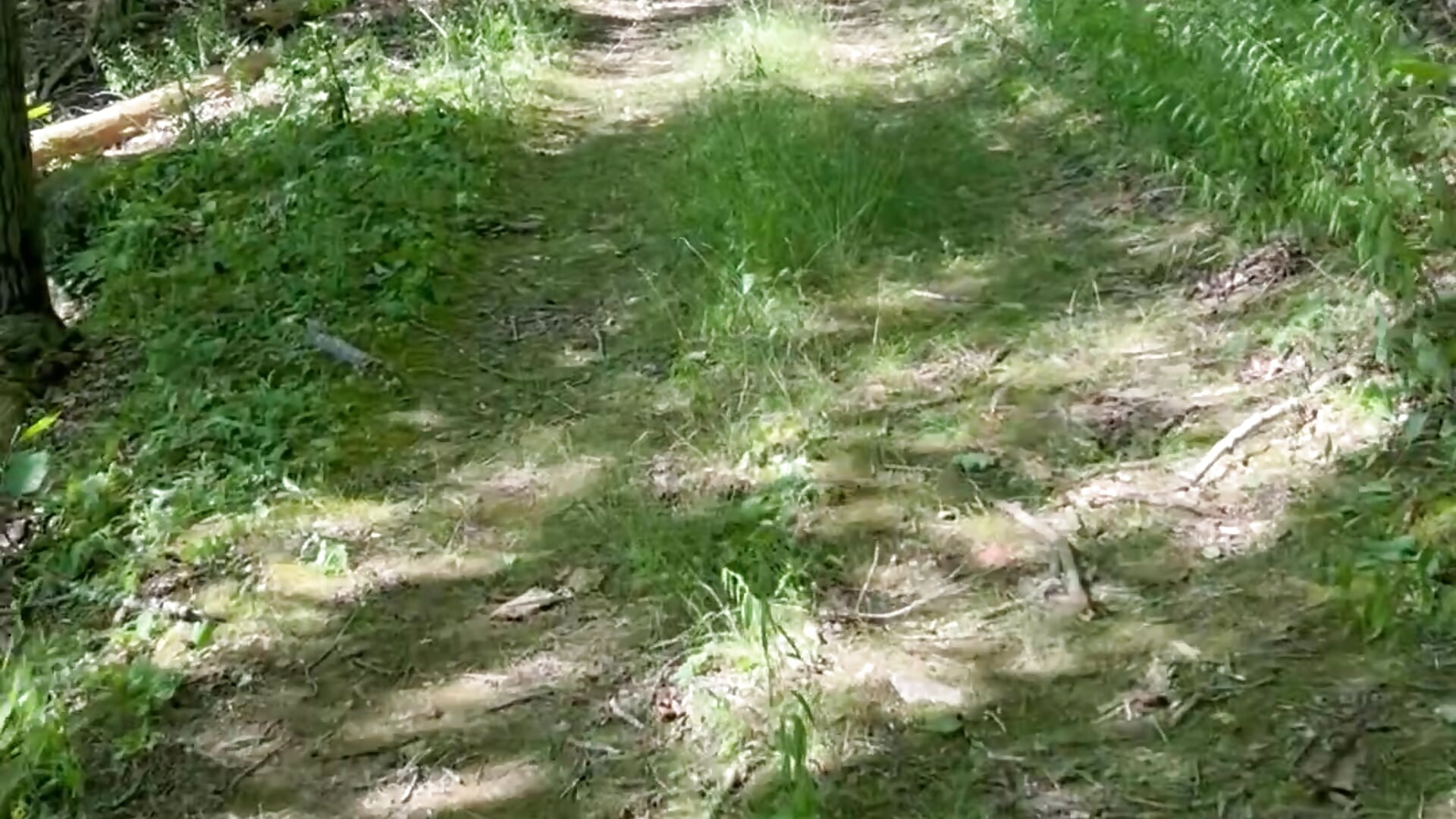 The walk in the woods to my aunt‘s private beach - відео від вебкаммоделі lolabunny9