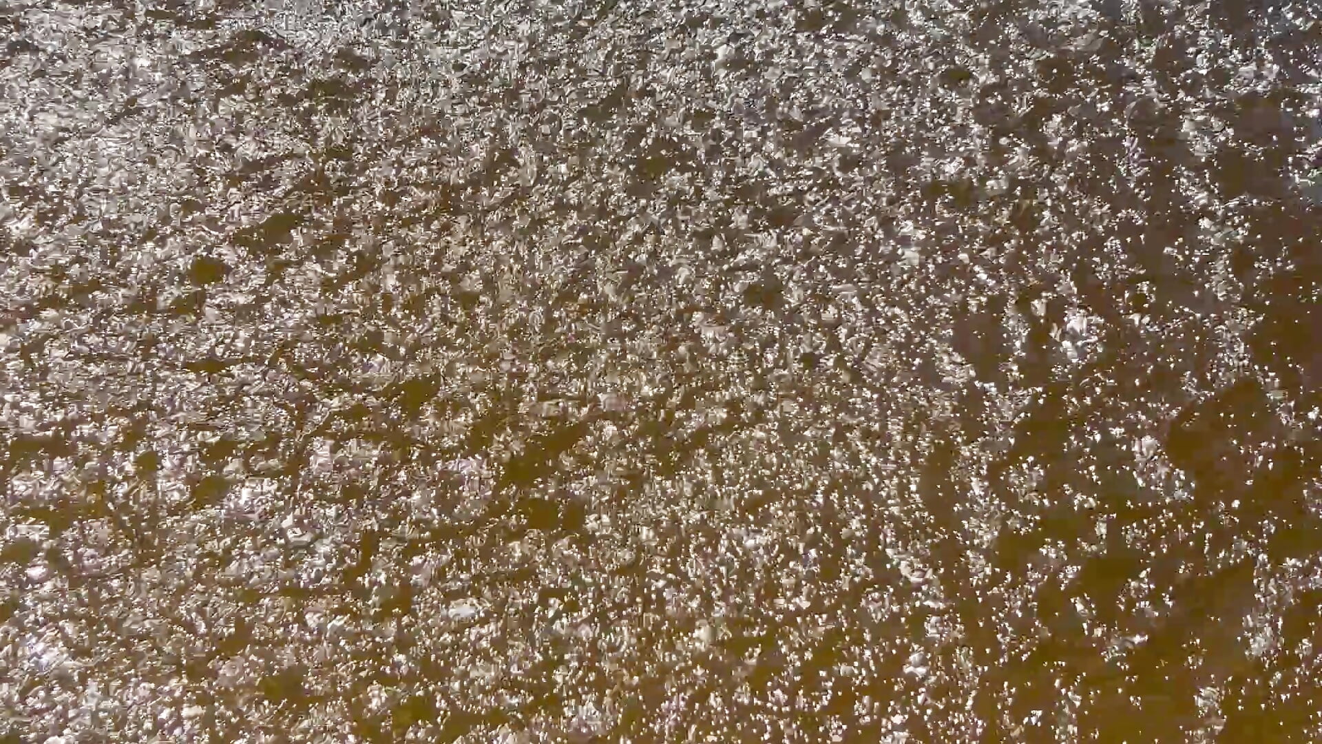 Feet in the water nude at the beach - vídeo de la modelo de cam lolabunny9