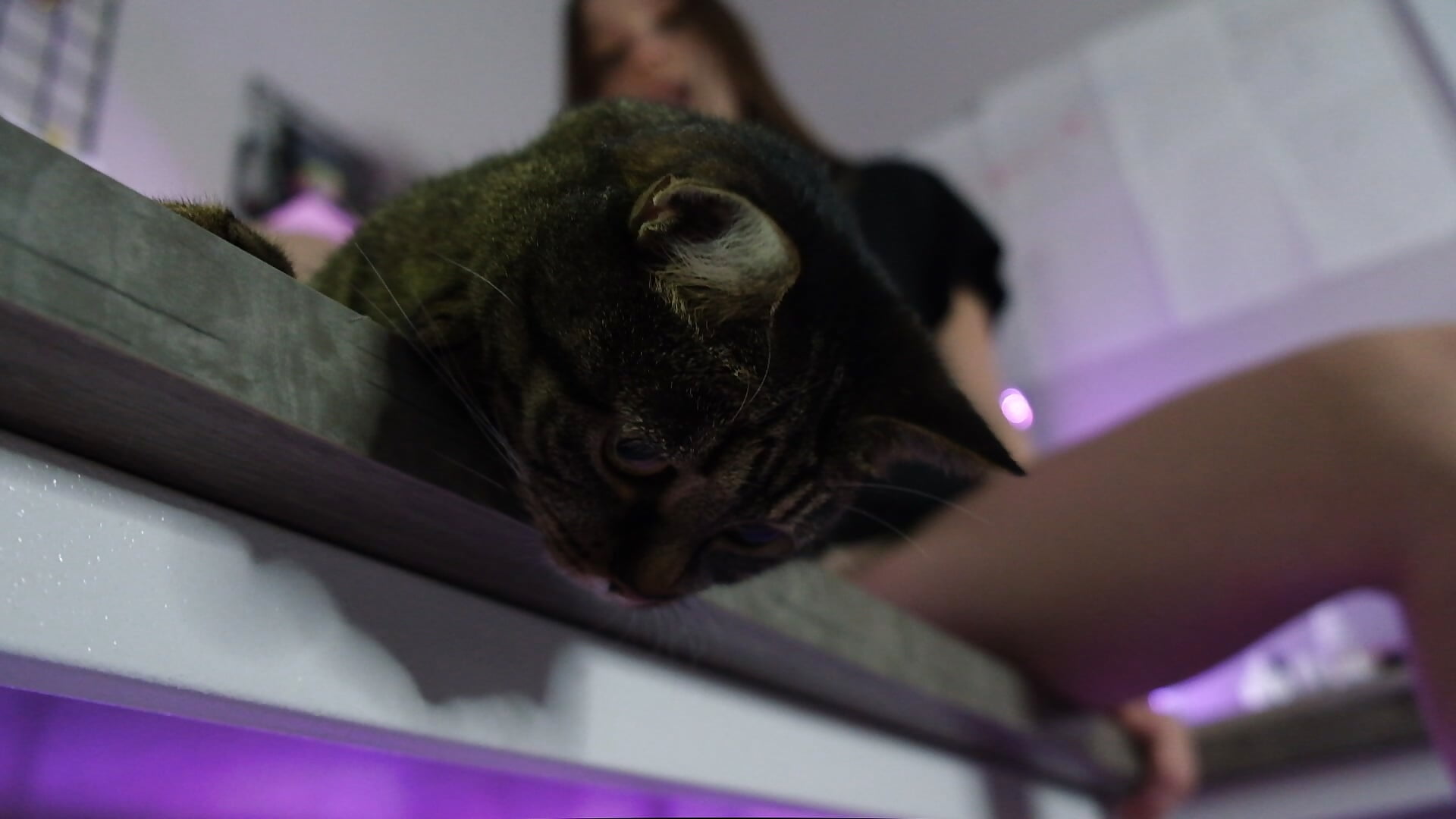 my pussy - video by katekuray