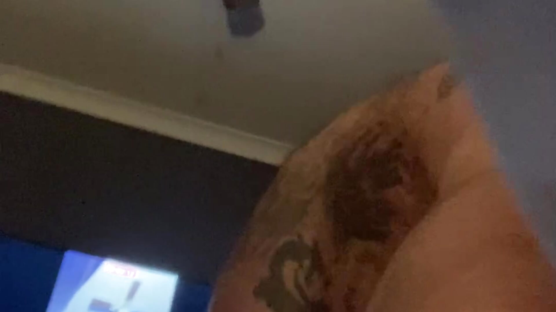 New 3.1 wide dildo - bibaby主播的视频