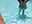 Swimming naked - video by AlexHoe_ cam model