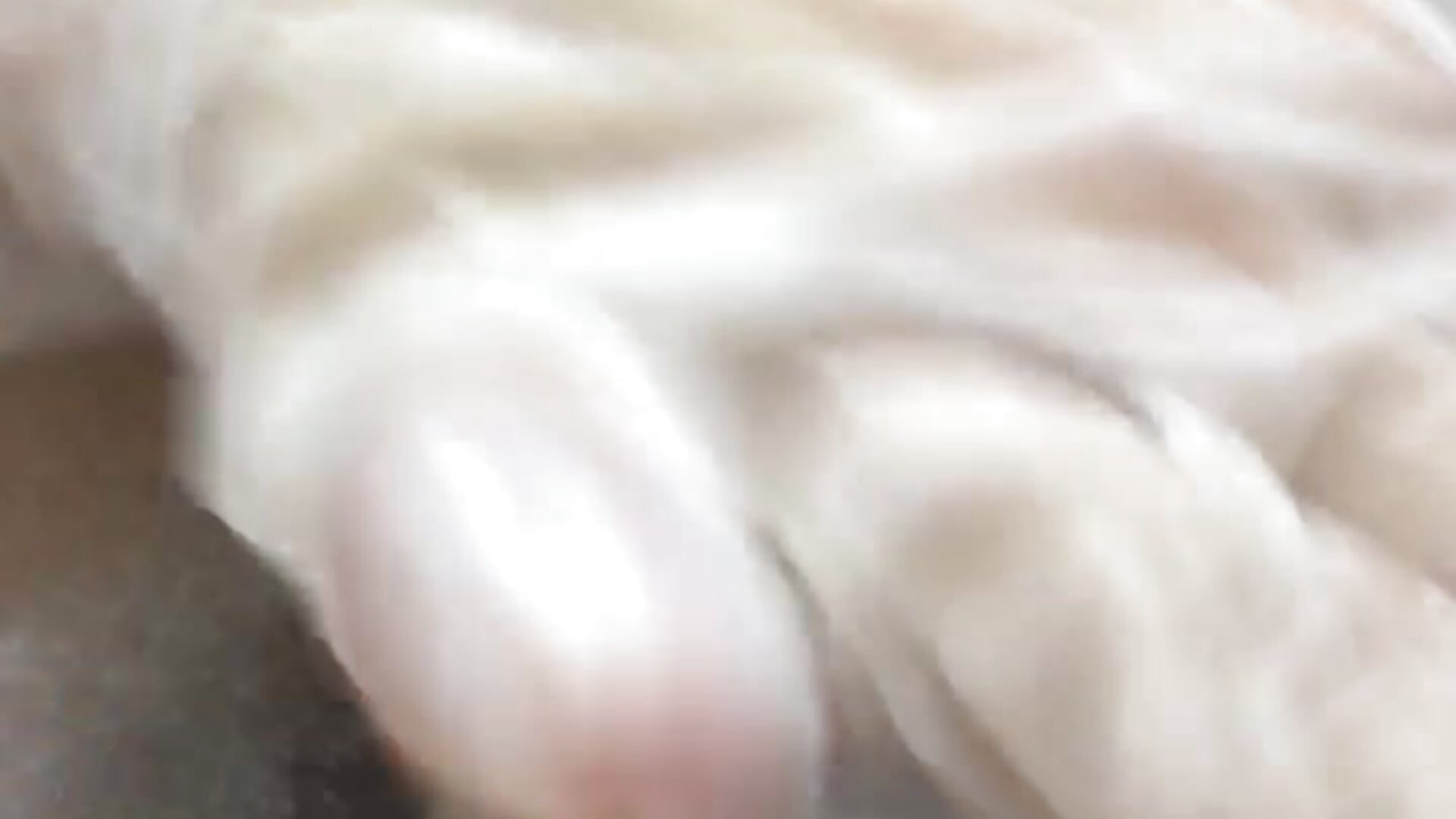 modo:peluqueria - video by GlendaStarx cam model