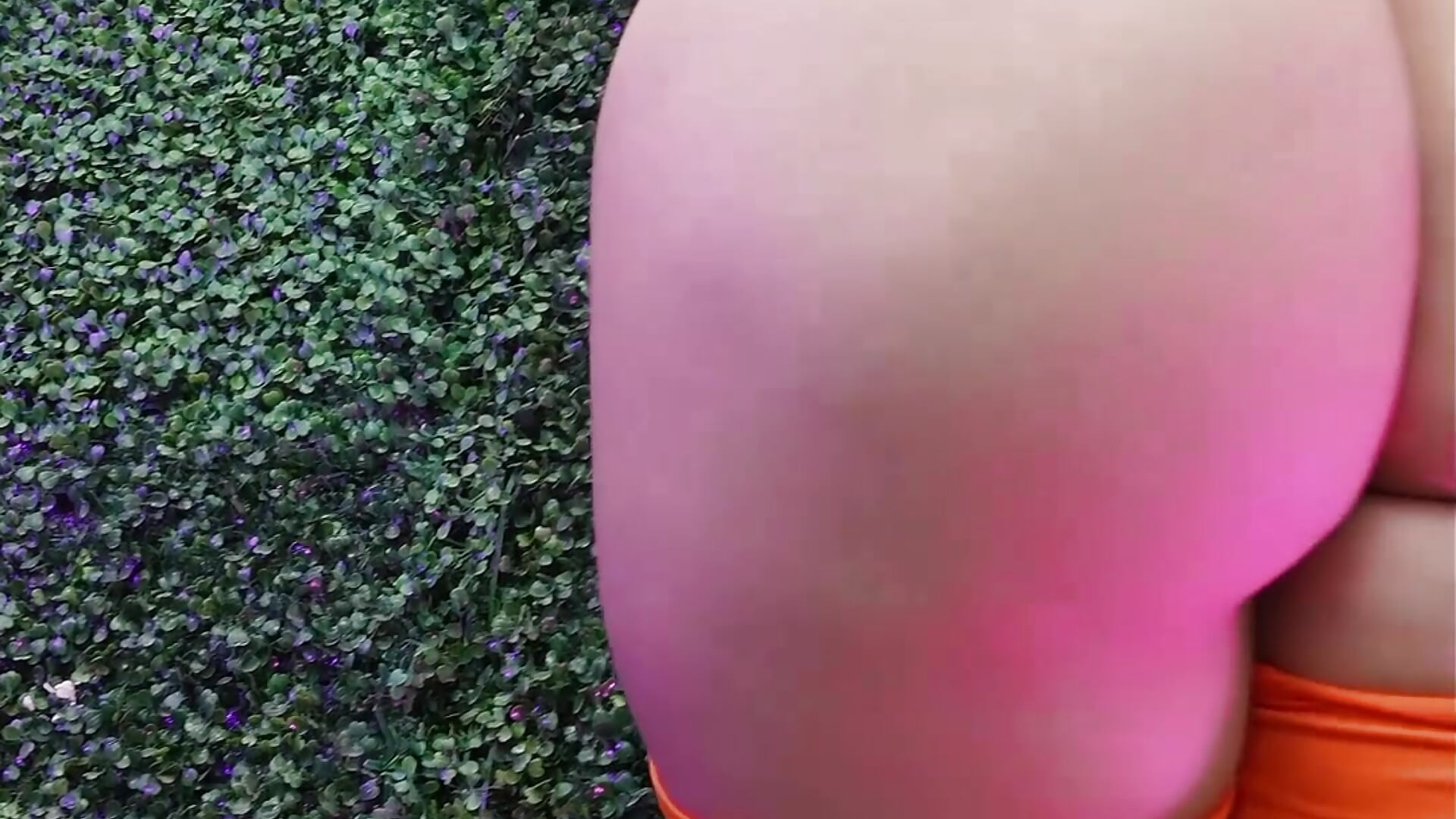 vilmaxxx