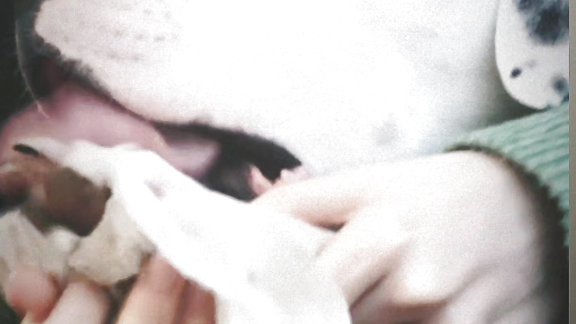 My big boy Doggo - video by YourBabyPearl cam model