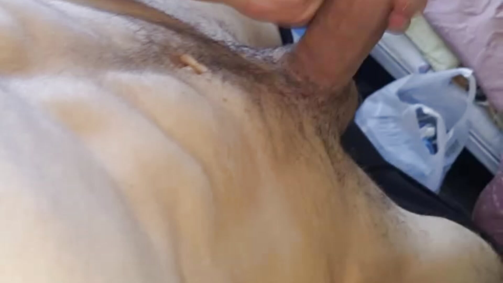 ⚡⚡⚡⚡ - video van 0000MrNobody0000 cam-model