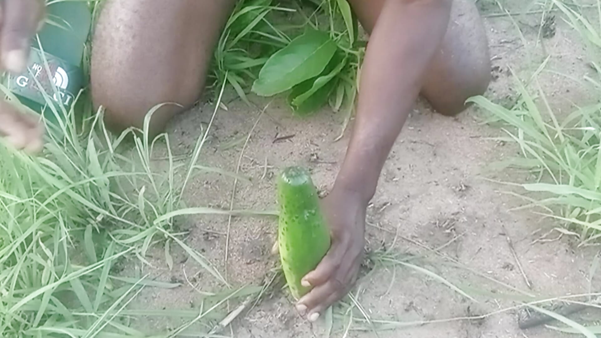 Very huge cucumber,in my as,outdoor,in the green forest 8 - video by samagira cam model