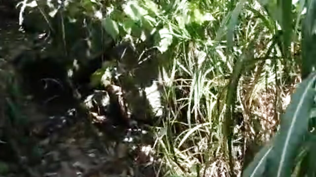 river 01 - video by Brenda_Berck_ cam model