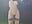 DANCING NAKED IN PARK - video by CATALINA_RESTREPO cam model