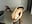 Dildo fucking - Vídeo de _Vahos_