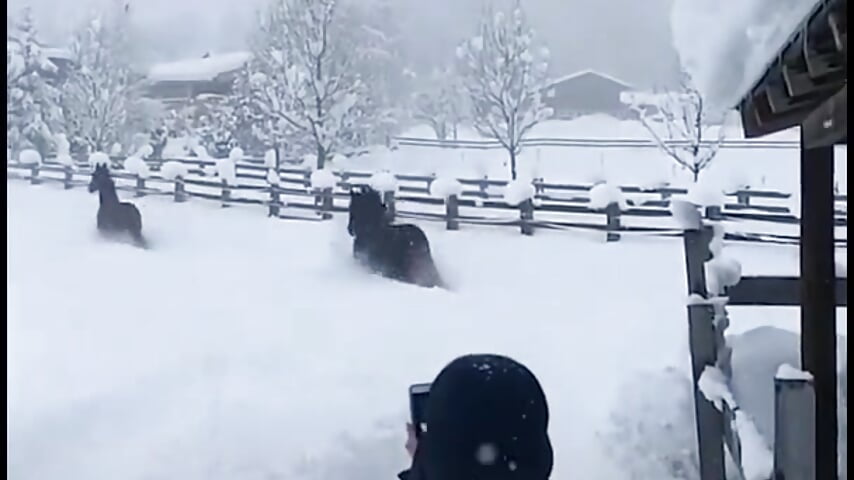 Лошадки - Video von LyalyaBit79 Cam-Model