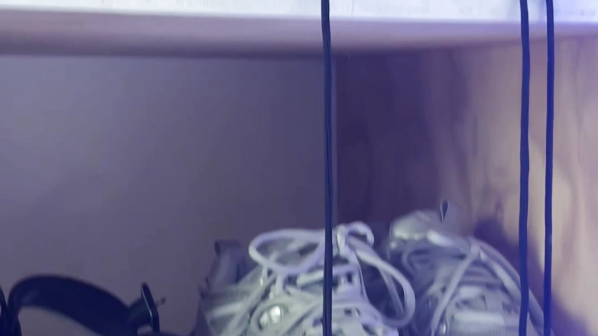 Shoes collection - vidéo du modèle de showcams handipandapok