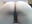 My ass in your face - video by MissLexyGold cam model